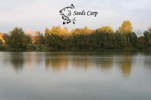 Centre de pêche sportive Seeds Carp