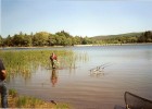 CARPE DU LAC DES MONTAGNES .TARN 81