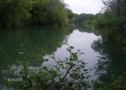 Quelques poissons de la Cèze...