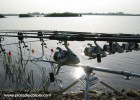 Peche a la carpe dans un etang communal